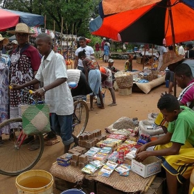 Earthwatch, January 2010, Andranofasika market, Madagascar - Frank.Vassen