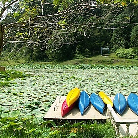 Pond at Bukit Cahaya Sri Alam Agricultural Park in Shah Alam, Selangor, Malaysia. - Auswandern Malaysia