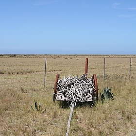 Patagonia land - quimpg